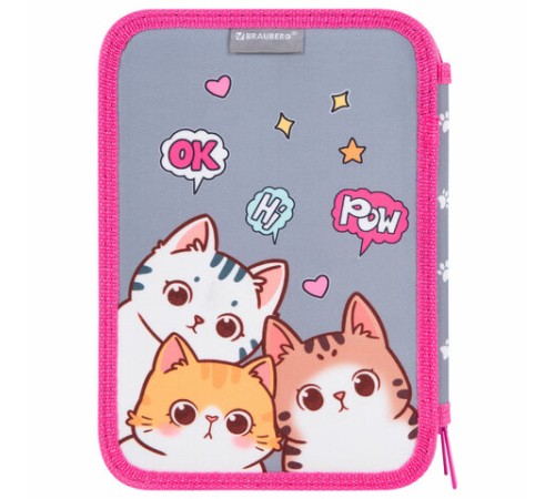 Пенал BRAUBERG, 2 отделения, полиэстер, 21х14 см, 