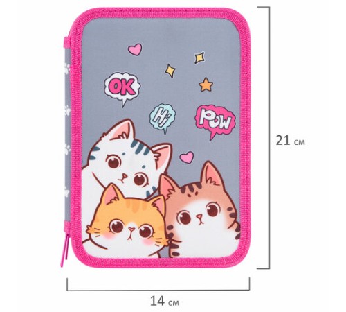 Пенал BRAUBERG, 2 отделения, полиэстер, 21х14 см, 