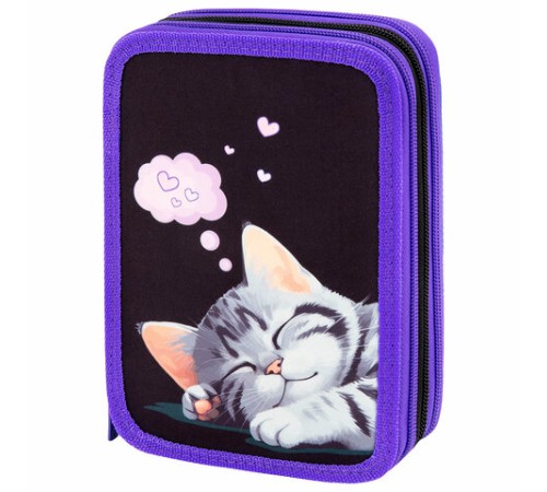 Пенал BRAUBERG, 3 отделения, полиэстер, 21х14 см, 