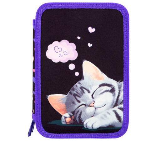 Пенал BRAUBERG, 3 отделения, полиэстер, 21х14 см, 