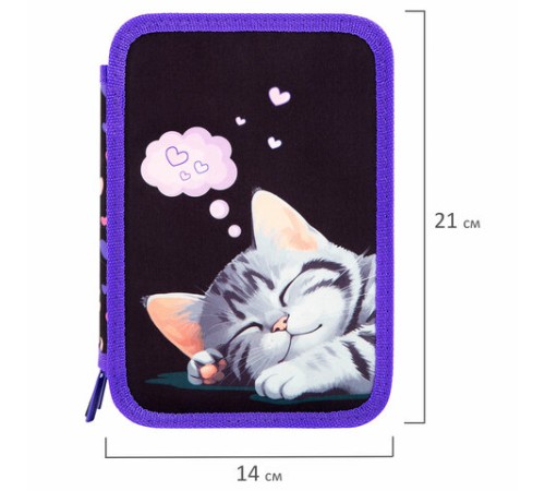 Пенал BRAUBERG, 3 отделения, полиэстер, 21х14 см, 