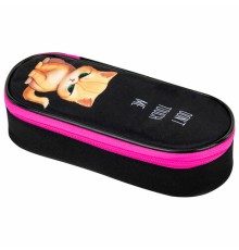 Пенал-футляр BRAUBERG, 1 отделение, органайзер, полиэстер, 22x9х5 см, 