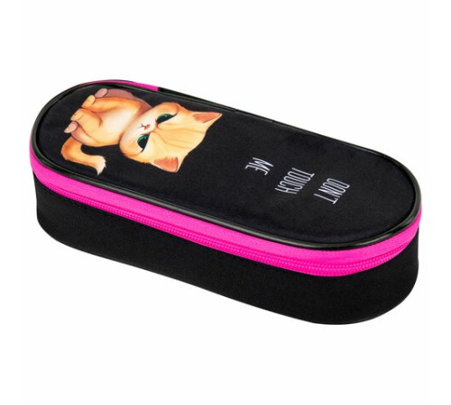 Пенал-футляр BRAUBERG, 1 отделение, органайзер, полиэстер, 22x9х5 см, 