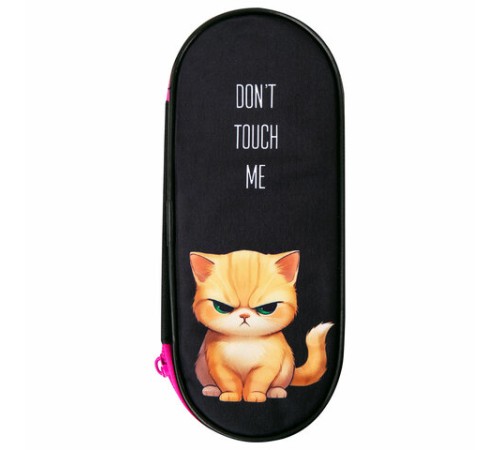 Пенал-футляр BRAUBERG, 1 отделение, органайзер, полиэстер, 22x9х5 см, 