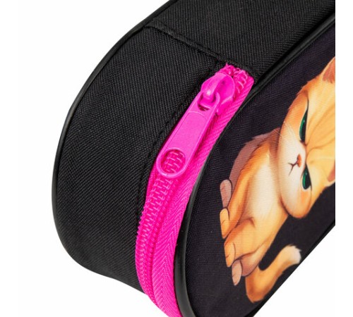 Пенал-футляр BRAUBERG, 1 отделение, органайзер, полиэстер, 22x9х5 см, 