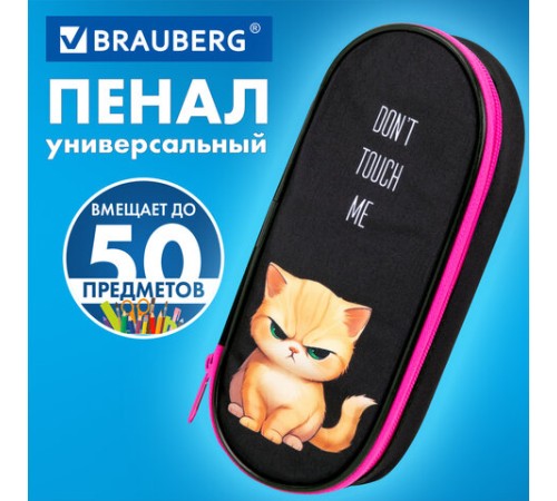 Пенал-футляр BRAUBERG, 1 отделение, органайзер, полиэстер, 22x9х5 см, 