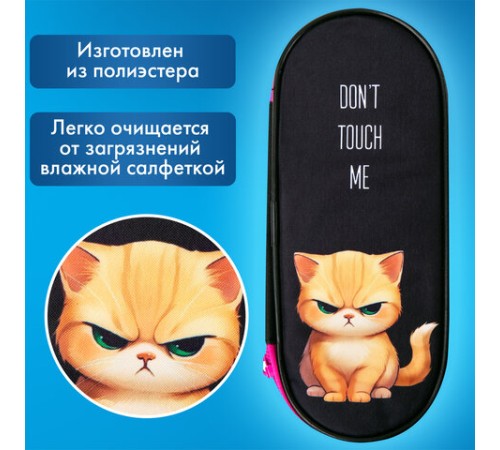 Пенал-футляр BRAUBERG, 1 отделение, органайзер, полиэстер, 22x9х5 см, 