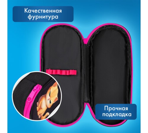 Пенал-футляр BRAUBERG, 1 отделение, органайзер, полиэстер, 22x9х5 см, 