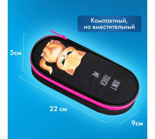 Пенал-футляр BRAUBERG, 1 отделение, органайзер, полиэстер, 22x9х5 см, 