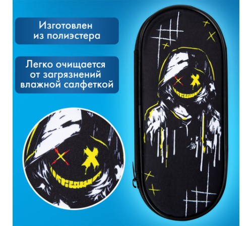 Пенал-футляр BRAUBERG, 1 отделение, органайзер, полиэстер, 22x9х5 см, 