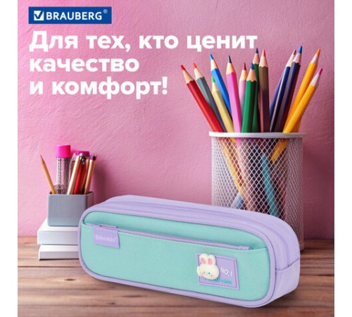Пенал-футляр BRAUBERG, 2 отделения, 3D-элемент, полиэстер, 