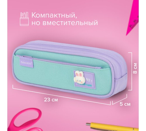 Пенал-футляр BRAUBERG, 2 отделения, 3D-элемент, полиэстер, 