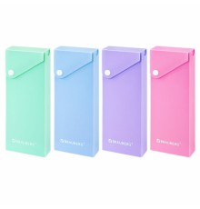 Пенал пластиковый BRAUBERG, 1 отделение, на кнопке, 20x7 см, ассорти, 