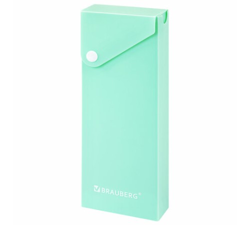 Пенал пластиковый BRAUBERG, 1 отделение, на кнопке, 20x7 см, ассорти, 