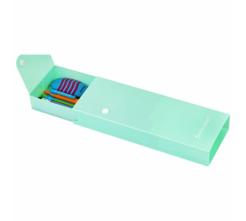 Пенал пластиковый BRAUBERG, 1 отделение, на кнопке, 20x7 см, ассорти, 