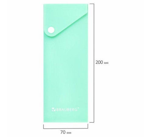 Пенал пластиковый BRAUBERG, 1 отделение, на кнопке, 20x7 см, ассорти, 