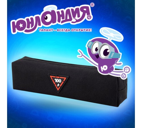 Пенал ЮНЛАНДИЯ ЮНИОР, 1 отделение, полиэстер, аппликация, 