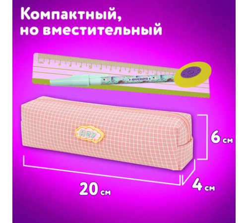 Пенал ЮНЛАНДИЯ ЮНИОР, 1 отделение, полиэстер, аппликация, 