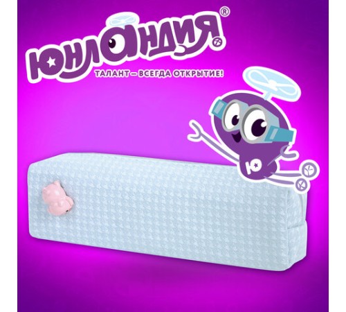 Пенал ЮНЛАНДИЯ ЮНИОР, 1 отделение, полиэстер, аппликация, 