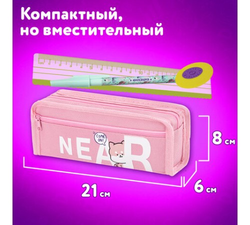 Пенал ЮНЛАНДИЯ ЮНИОР, 2 отделения, полиэстер, 