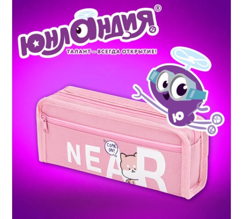 Пенал ЮНЛАНДИЯ ЮНИОР, 2 отделения, полиэстер, 