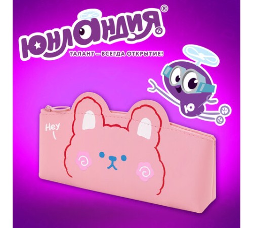 Пенал ЮНЛАНДИЯ ЮНИОР, 1 отделение, искусственная кожа, 