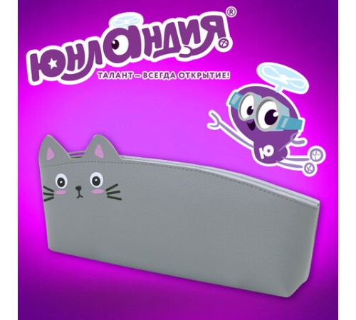 Пенал ЮНЛАНДИЯ ЮНИОР, 1 отделение, искусственная кожа, 