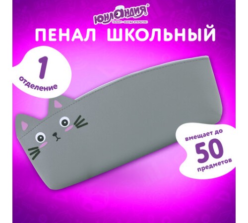 Пенал ЮНЛАНДИЯ ЮНИОР, 1 отделение, искусственная кожа, 