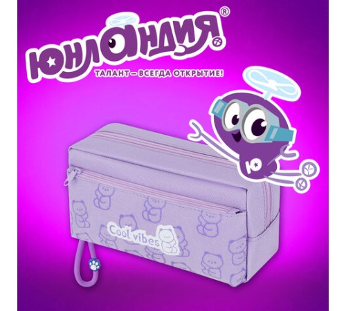 Пенал ЮНЛАНДИЯ ЮНИОР, 2 отделения, 