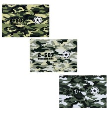 Папка для тетрадей ПИФАГОР А4, 1 отделение, ПВХ, на молнии, ассорти 