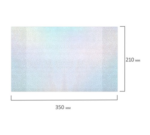 Обложки с ГОЛОГРАММОЙ для тетрадей и дневников, КОМПЛЕКТ 5 шт., ПЛОТНЫЕ, 100 мкм, 210x350 мм, FUNSTER (ФАНСТЕР), 274089