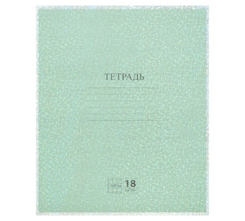 Обложки с ГОЛОГРАММОЙ для тетрадей и дневников, КОМПЛЕКТ 5 шт., ПЛОТНЫЕ, 100 мкм, 210x350 мм, FUNSTER (ФАНСТЕР), 274089