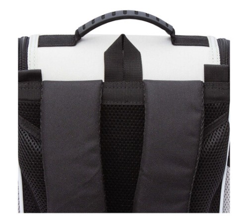 Ранец GRIZZLY анатомическая спинка, с мешком для обуви, для девочек, 