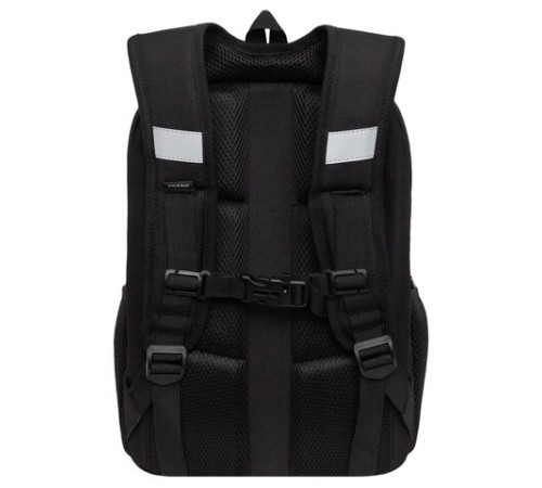 Ранец GRIZZLY анатомическая спинка, 2 отделения, для девочек, 