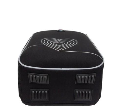 Ранец GRIZZLY анатомическая спинка, 2 отделения, для девочек, 