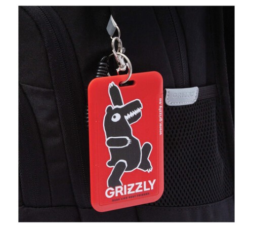 Рюкзак GRIZZLY школьный, анатомическая спинка, 2 отделения, для мальчиков, 