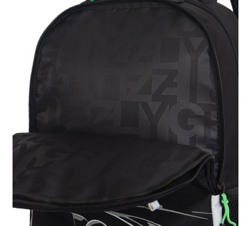 Рюкзак GRIZZLY школьный, жёсткая спинка, 2 отделения, для мальчиков, 