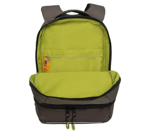 Рюкзак GRIZZLY школьный, анатомическая спинка, 2 отделения, для мальчиков, 