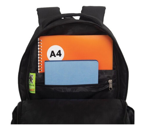 Рюкзак GRIZZLY школьный, анатомическая спинка, 2 отделения, для мальчиков, 