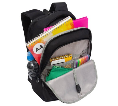 Рюкзак GRIZZLY школьный, анатомическая спинка, 2 отделения, для девочек, 