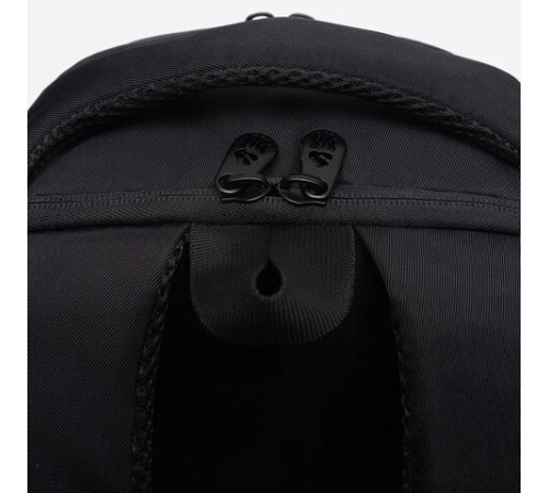 Рюкзак GRIZZLY школьный, анатомическая спинка, 2 отделения, для девочек, 