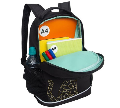 Рюкзак GRIZZLY школьный, анатомическая спинка, 2 отделения, для девочек, 