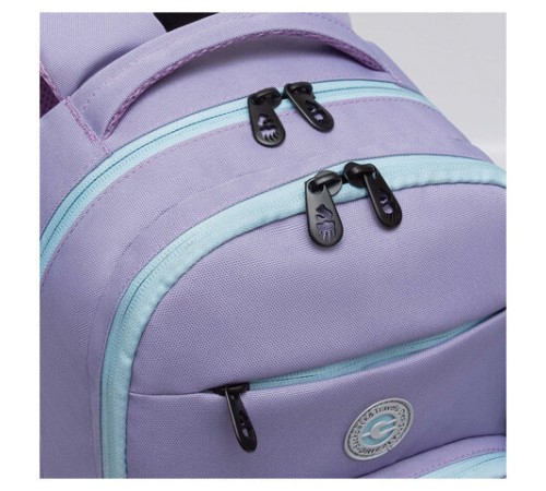 Рюкзак GRIZZLY школьный, анатомическая спинка, 2 отделения, для девочек, 