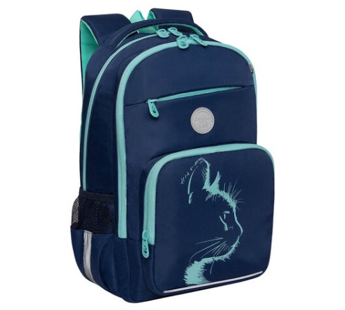 Рюкзак GRIZZLY школьный, анатомическая спинка, 2 отделения, для девочек, 