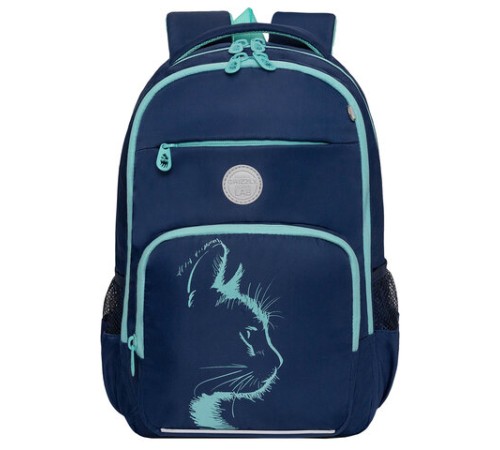 Рюкзак GRIZZLY школьный, анатомическая спинка, 2 отделения, для девочек, 