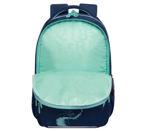 Рюкзак GRIZZLY школьный, анатомическая спинка, 2 отделения, для девочек, 