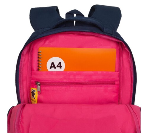 Рюкзак GRIZZLY школьный, анатомическая спинка, 2 отделения, для девочек, 