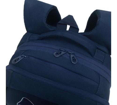 Рюкзак GRIZZLY школьный, анатомическая спинка, 2 отделения, для девочек, 