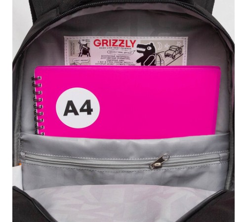 Рюкзак GRIZZLY школьный, анатомическая спинка, 2 отделения, для девочек, 