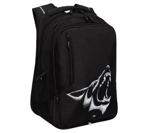 Рюкзак GRIZZLY школьный, анатомическая спинка, 3 отделения, для мальчиков, 